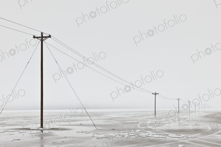 Telephone Poles in Bleak Winter Landscape