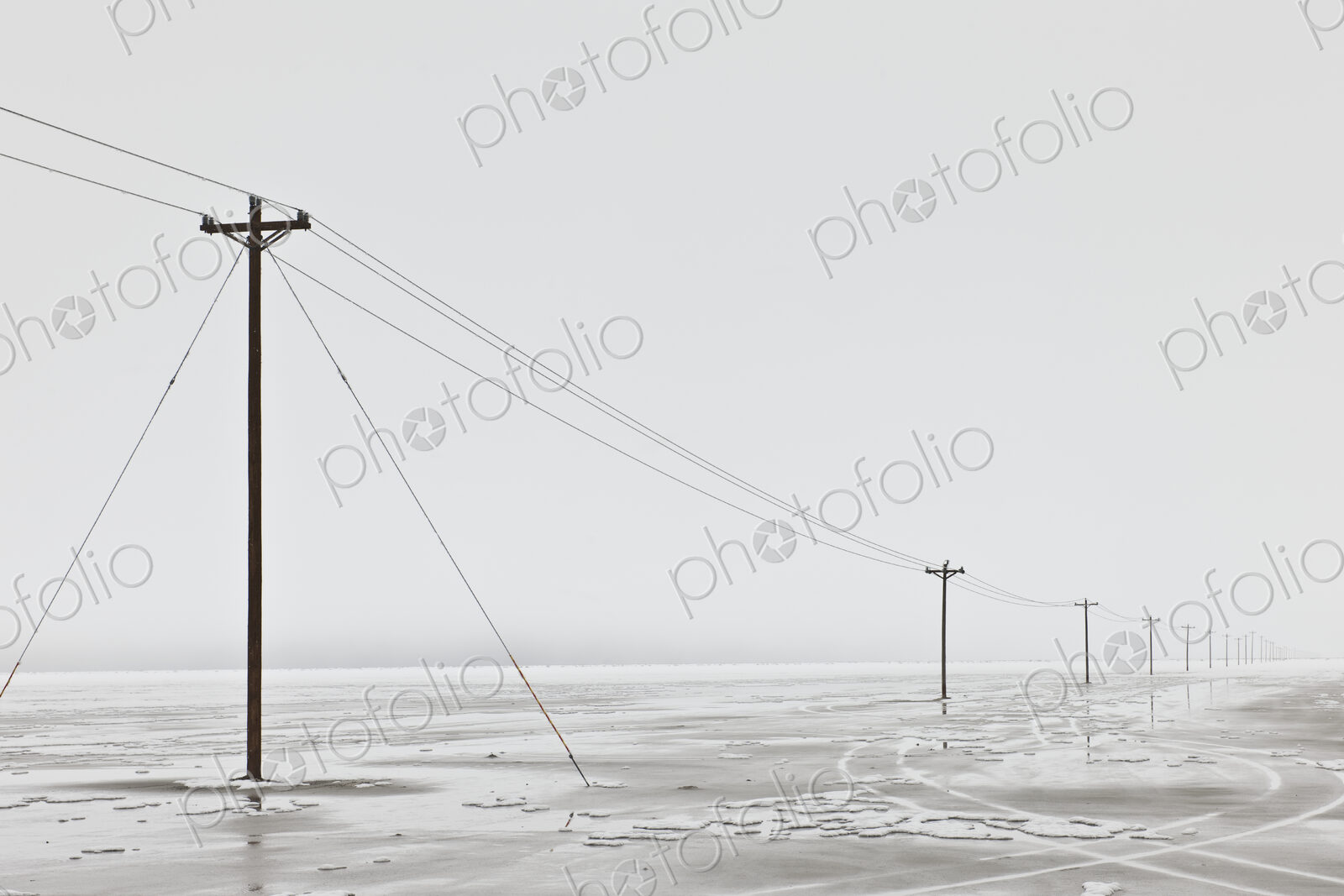 Telephone Poles in Bleak Winter Landscape