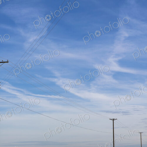 Telephone poles and power lines in a line across the landscape at Belridge, California.