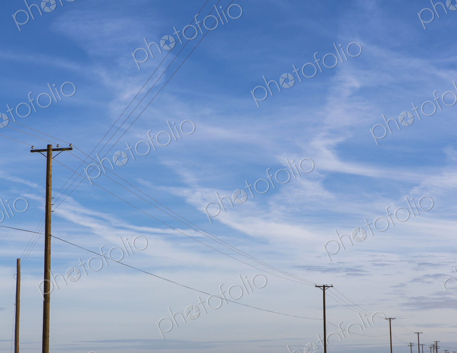 Telephone poles and power lines in a line across the landscape at Belridge, California.