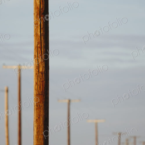 Telephone poles and power lines in a row, at Belridge in California.