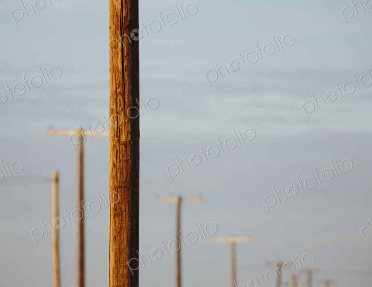 Telephone poles and power lines in a row, at Belridge in California.