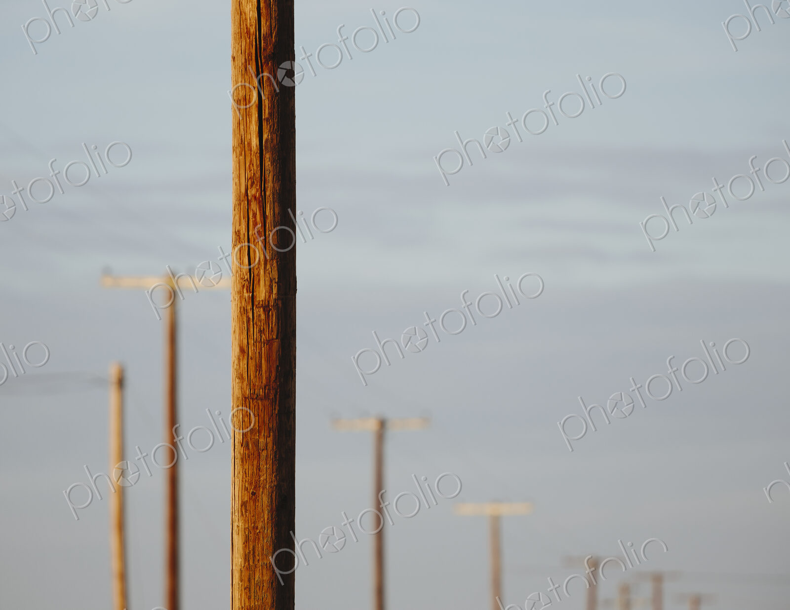 Telephone poles and power lines in a row, at Belridge in California.