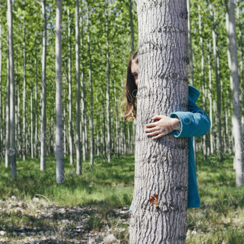 Ten year old girl peering behind commercially grown poplar tree on large tree farm,… Ten year old girl peering behind commercially grown poplar tree on large tree farm,…