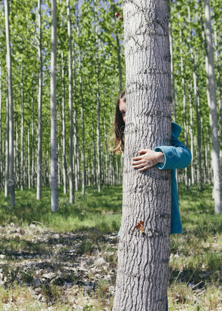 Ten year old girl peering behind commercially grown poplar tree on large tree farm,…