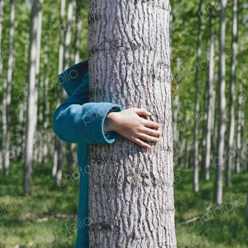 Ten year old girl standing behind commercially grown poplar tree on large tree farm,… Ten year old girl standing behind commercially grown poplar tree on large tree farm,…