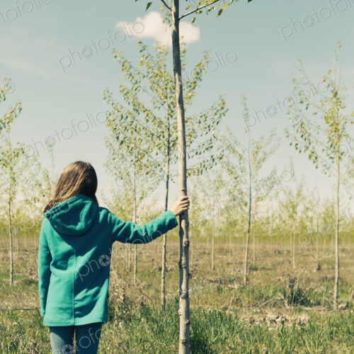 Ten year old girl standing next to commercially grown poplar tree on large tree farm,…