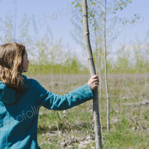 Ten year old girl standing next to commercially grown poplar tree on large tree farm,…
