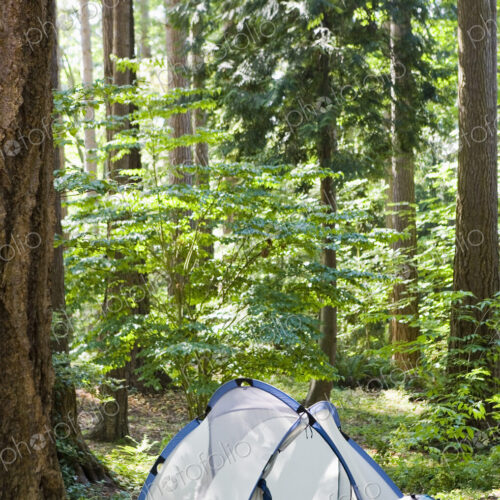 Tent in the Woods