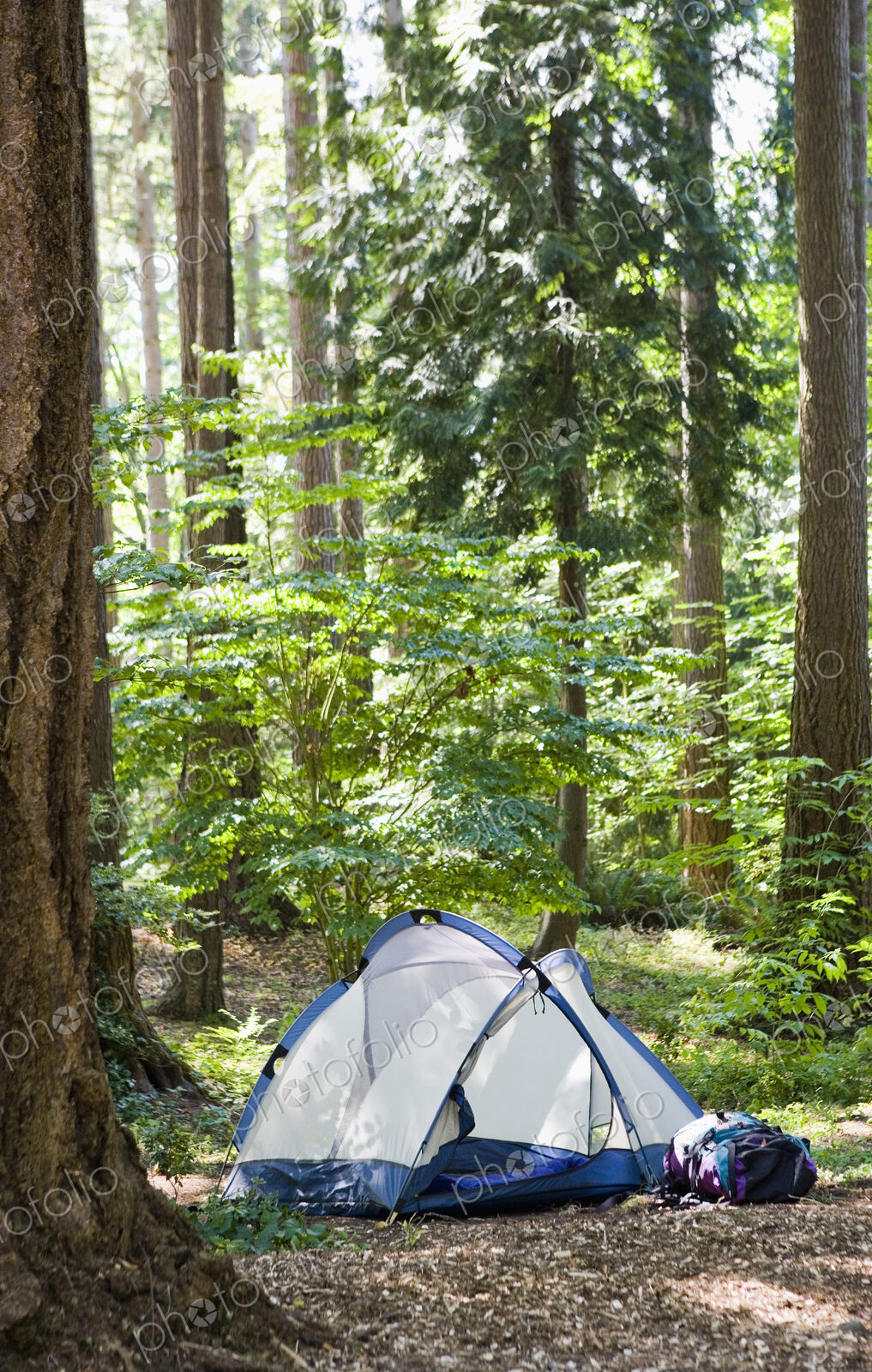 Tent in the Woods