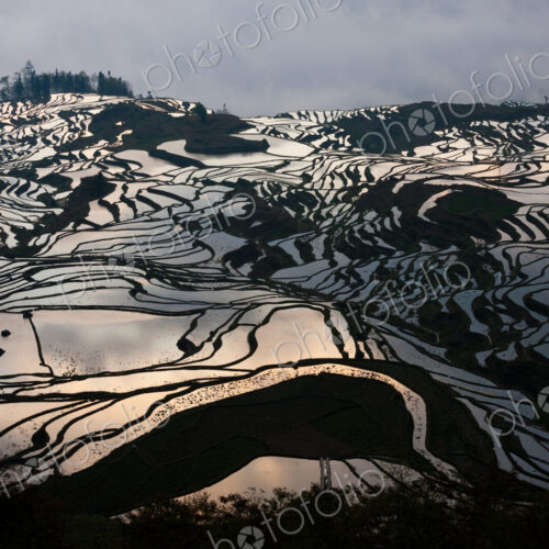 Terraced rice fields, Yuanyang, China