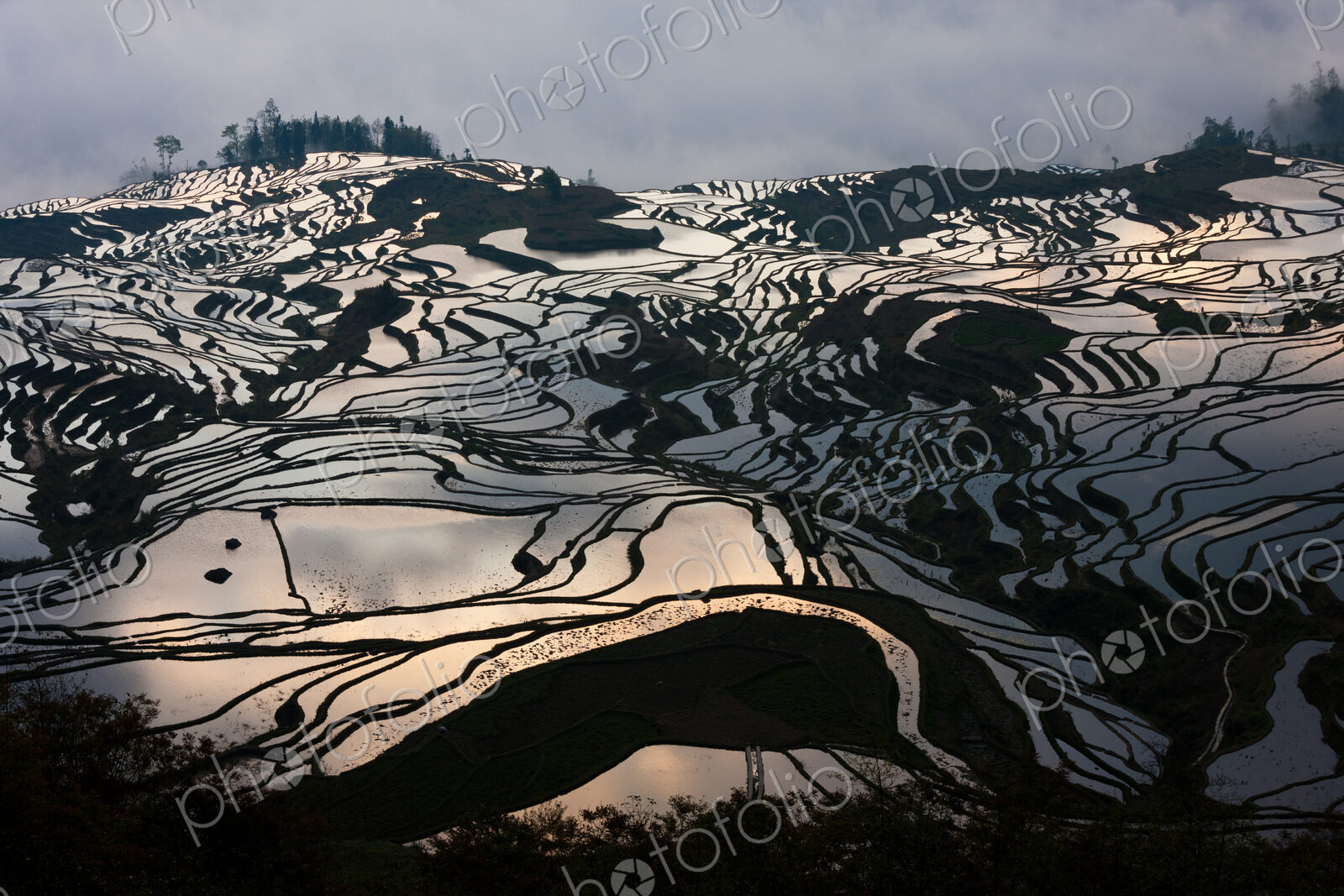 Terraced rice fields, Yuanyang, China