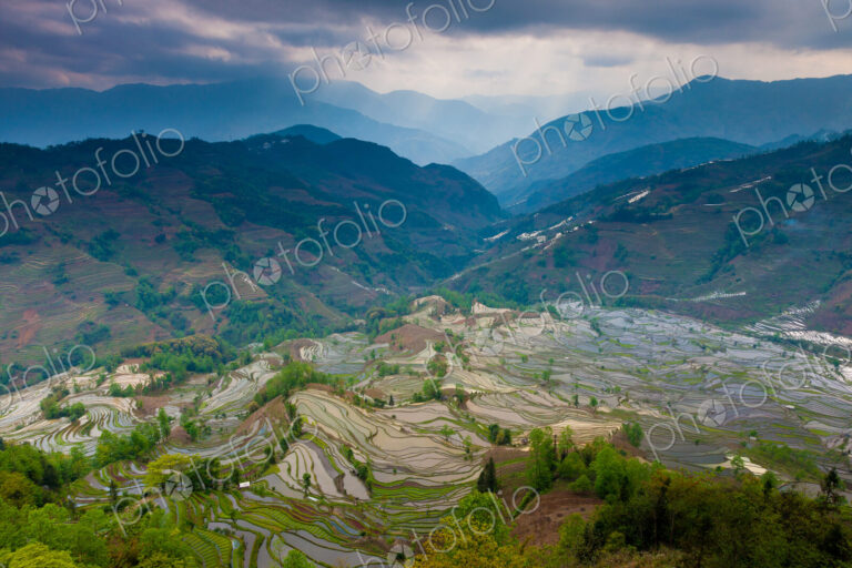 Terraced rice fields, Yuanyang, China