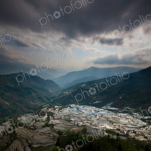 Terraced rice fields, Yuanyang, China