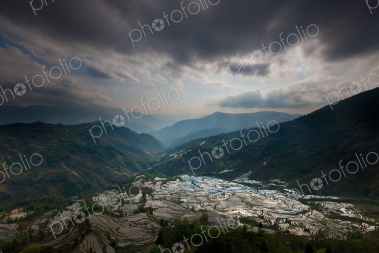 Terraced rice fields, Yuanyang, China
