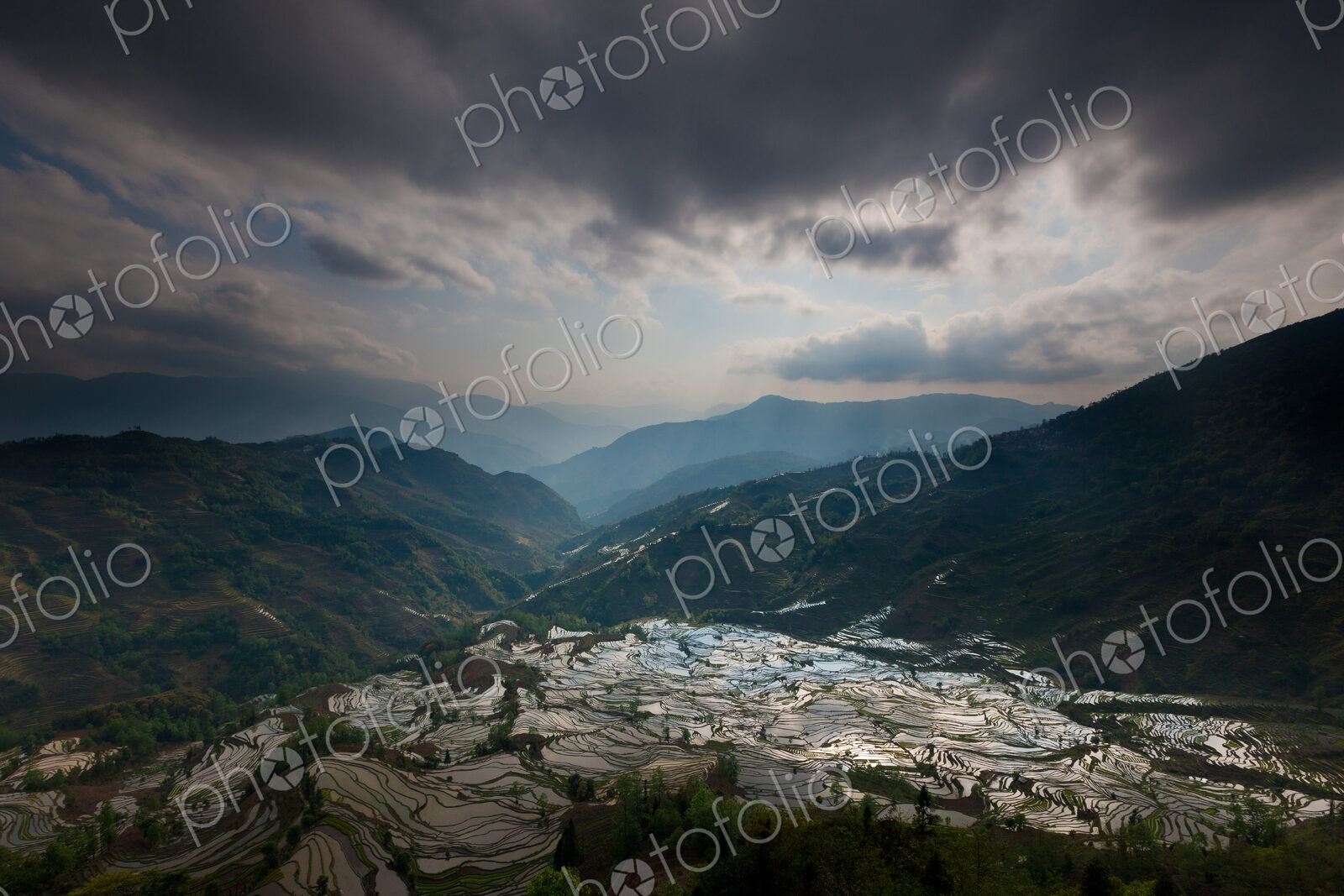 Terraced rice fields, Yuanyang, China