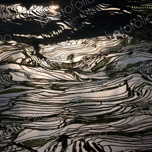 Terraced rice fields, Yuanyang, China