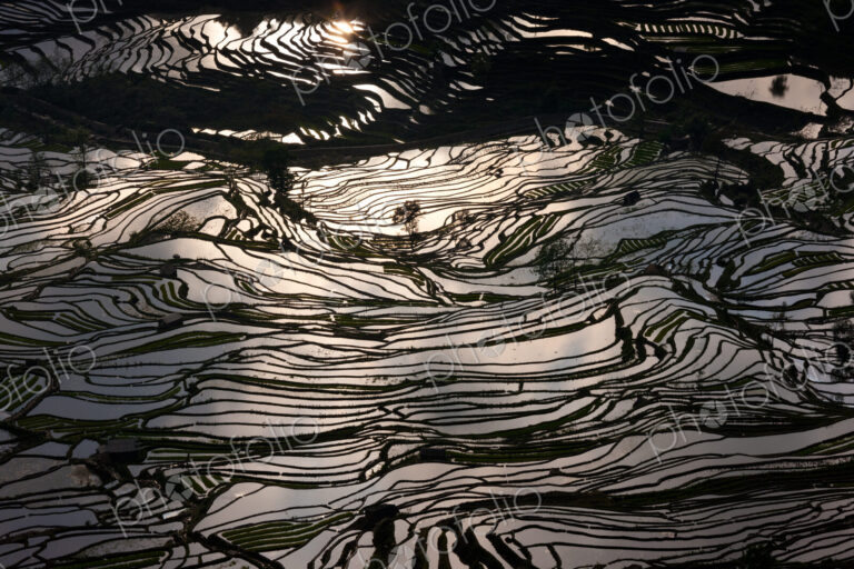 Terraced rice fields, Yuanyang, China