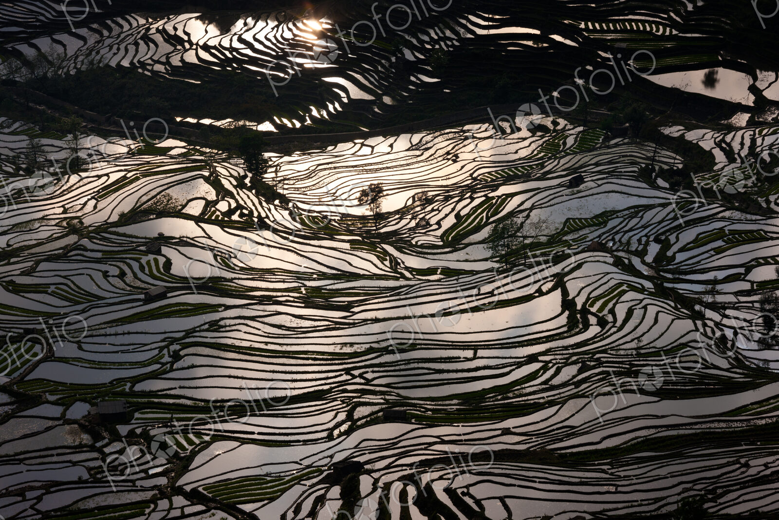 Terraced rice fields, Yuanyang, China