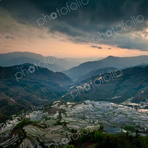 Terraced rice fields, Yuanyang, China