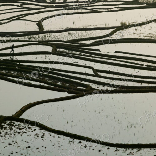 Terraced rice paddy, Yunnan Province, China. Terraced rice paddy, Yunnan Province, China.