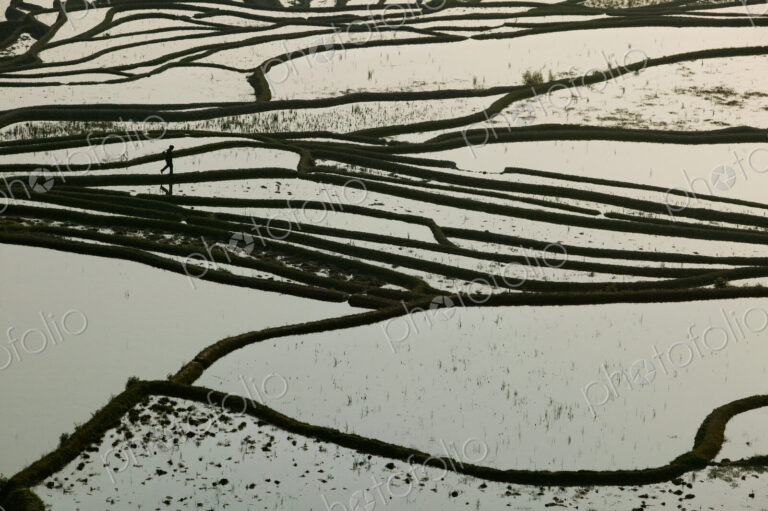 Terraced rice paddy, Yunnan Province, China.