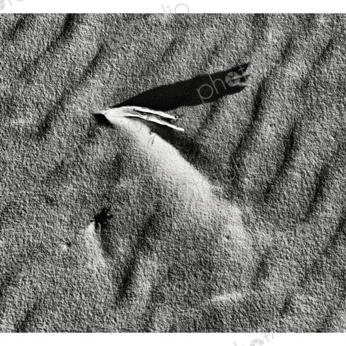 Textures in the sand, ridges and shadows. Textures in the sand, ridges and shadows.