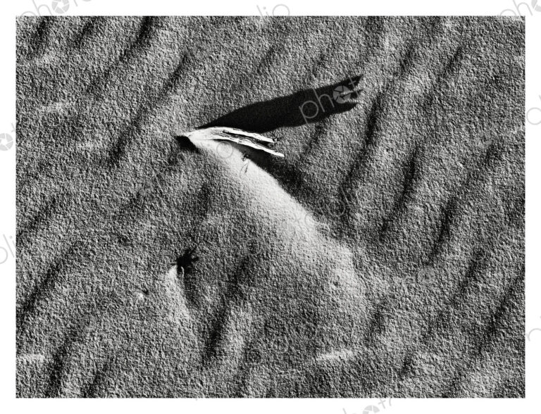 Textures in the sand, ridges and shadows.