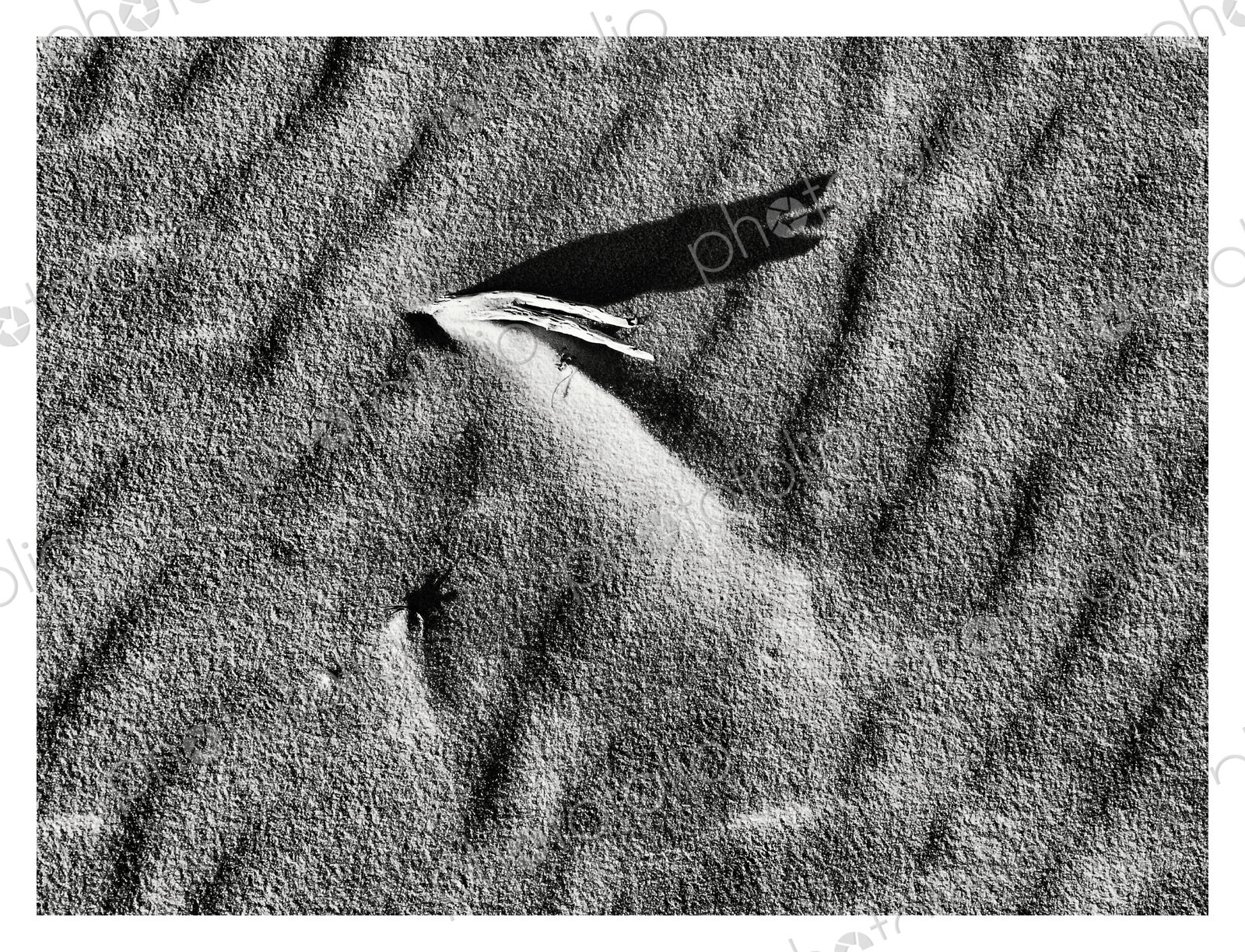 Textures in the sand, ridges and shadows.