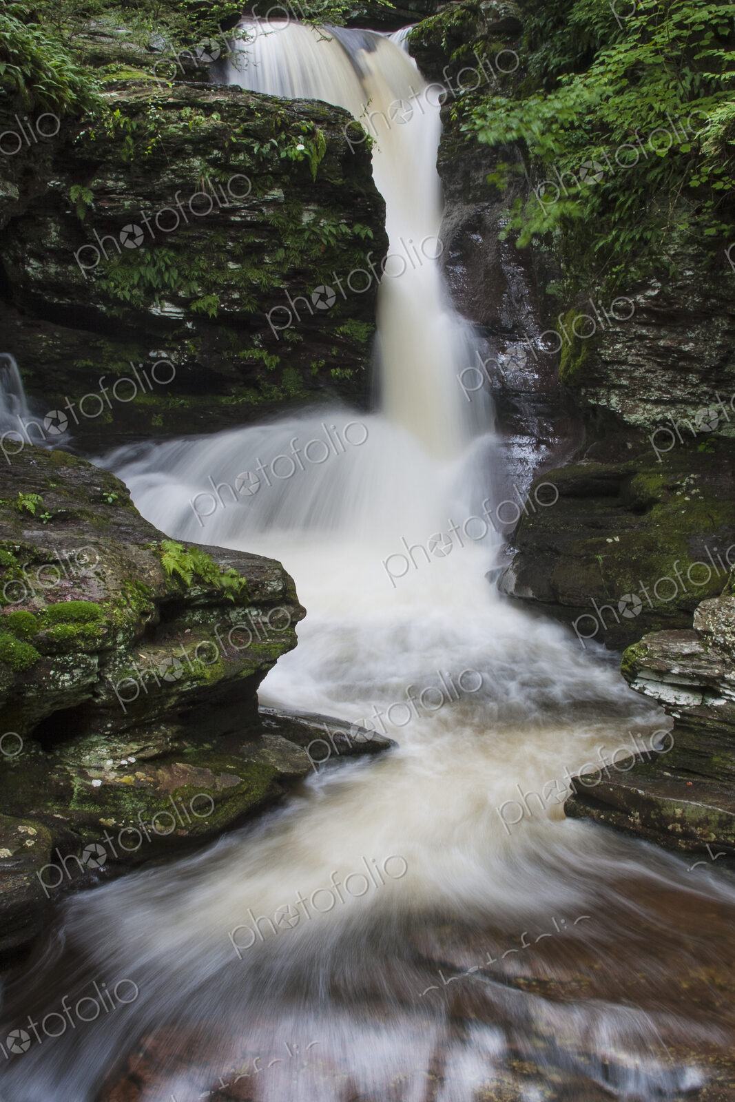The Adams Falls waterfall in Ricketts Glen State Park, Pennsylvania.