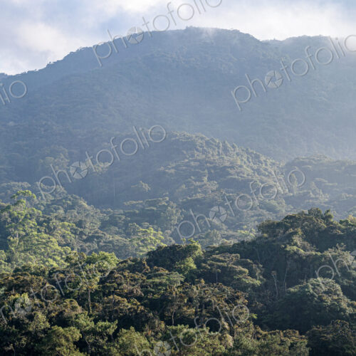 The Cameron Highlands, mountains and tea plantations, view over the rolling terrain… The Cameron Highlands, mountains and tea plantations, view over the rolling terrain…