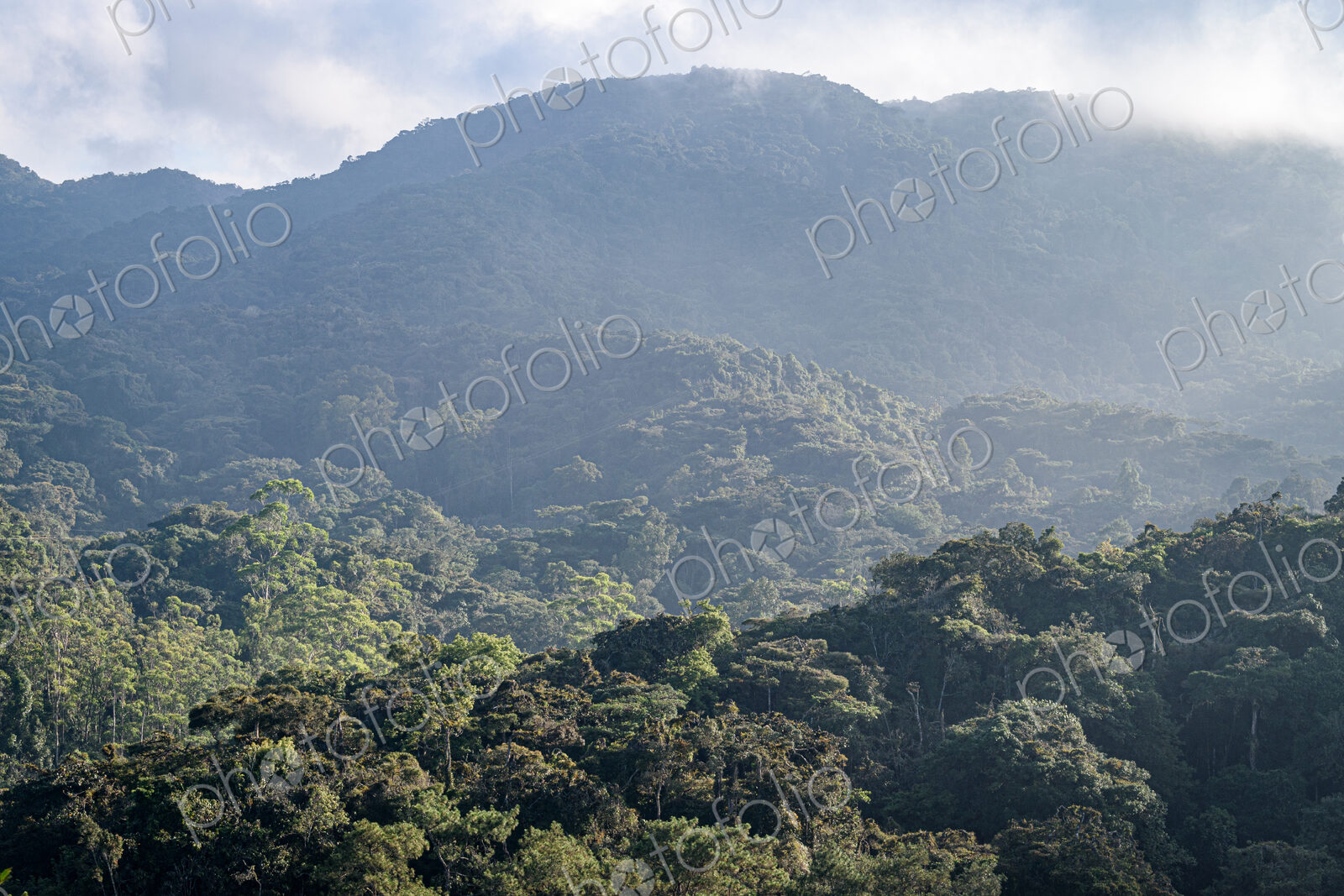 The Cameron Highlands, mountains and tea plantations, view over the rolling terrain…