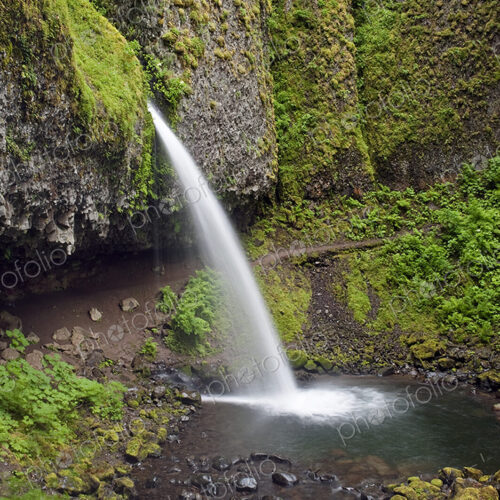 The Columbia River Gorge, Ponytail Falls waterfall flowing over the cliffs into the…