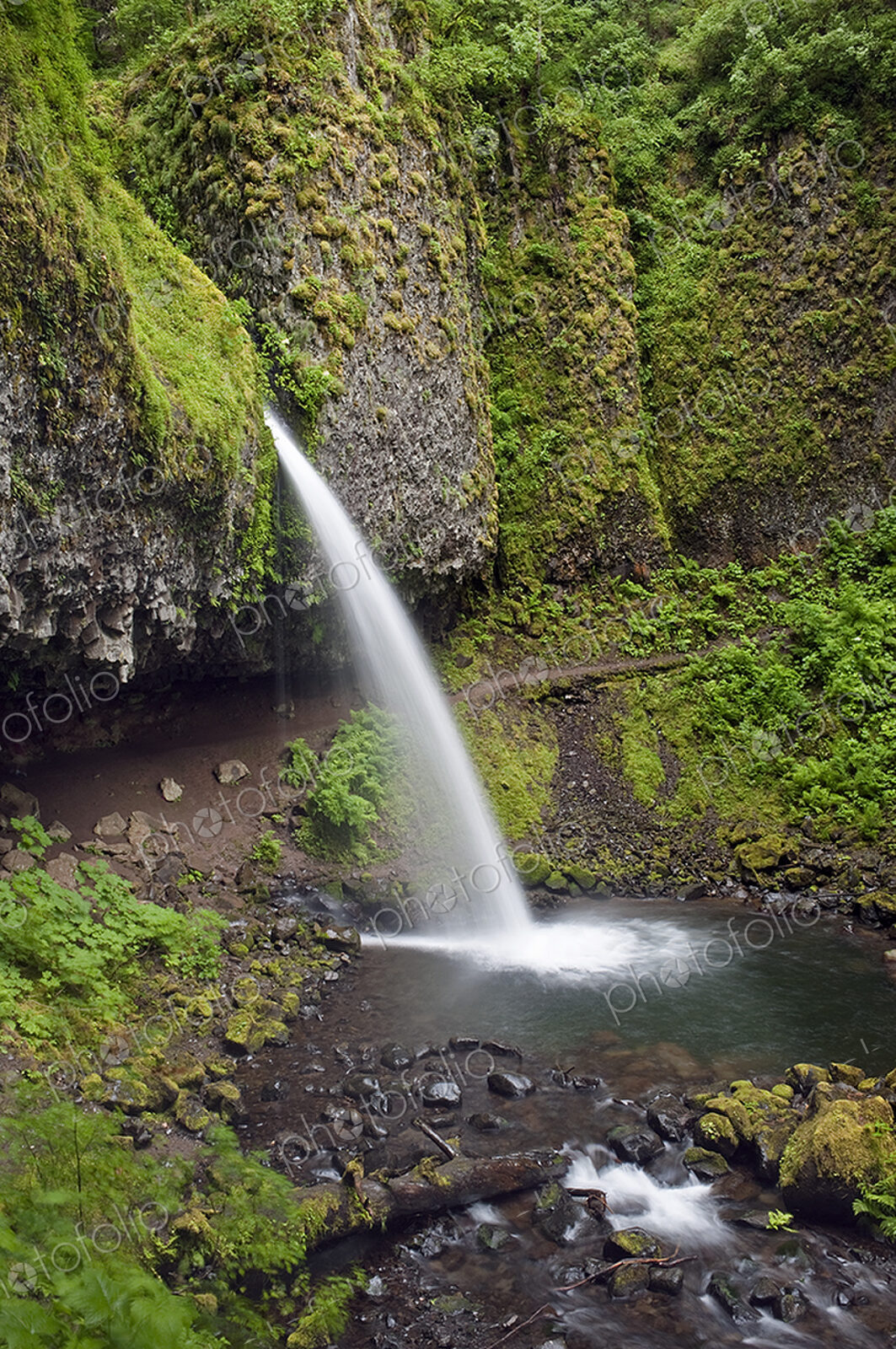 The Columbia River Gorge, Ponytail Falls waterfall flowing over the cliffs into the…