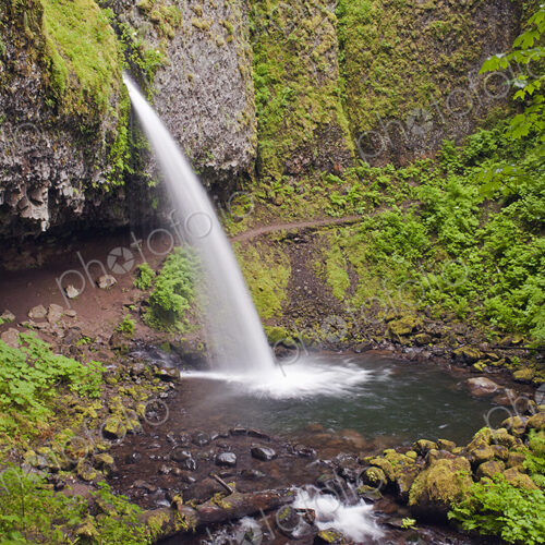 The Columbia River Gorge, Ponytail Falls waterfall flowing over the cliffs into the… The Columbia River Gorge, Ponytail Falls waterfall flowing over the cliffs into the…