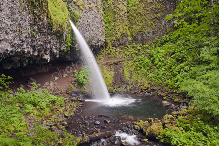 The Columbia River Gorge, Ponytail Falls waterfall flowing over the cliffs into the…