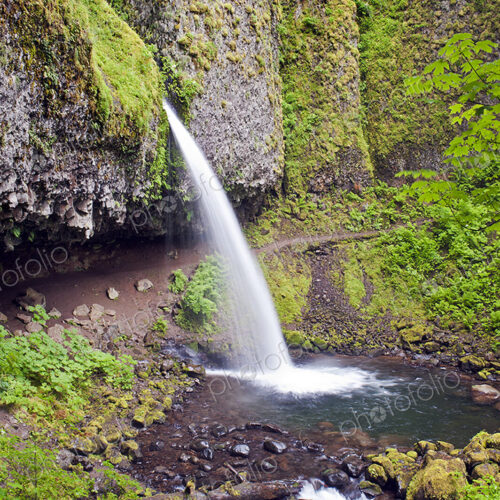 The Columbia River Gorge, Ponytail Falls waterfall flowing over the cliffs into the… The Columbia River Gorge, Ponytail Falls waterfall flowing over the cliffs into the…