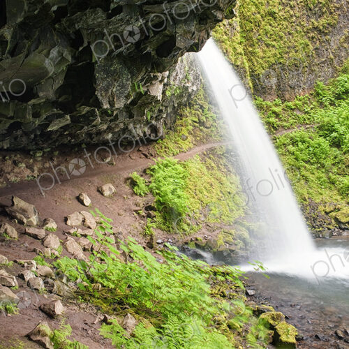 The Columbia River Gorge, Ponytail Falls waterfall flowing over the cliffs into the…