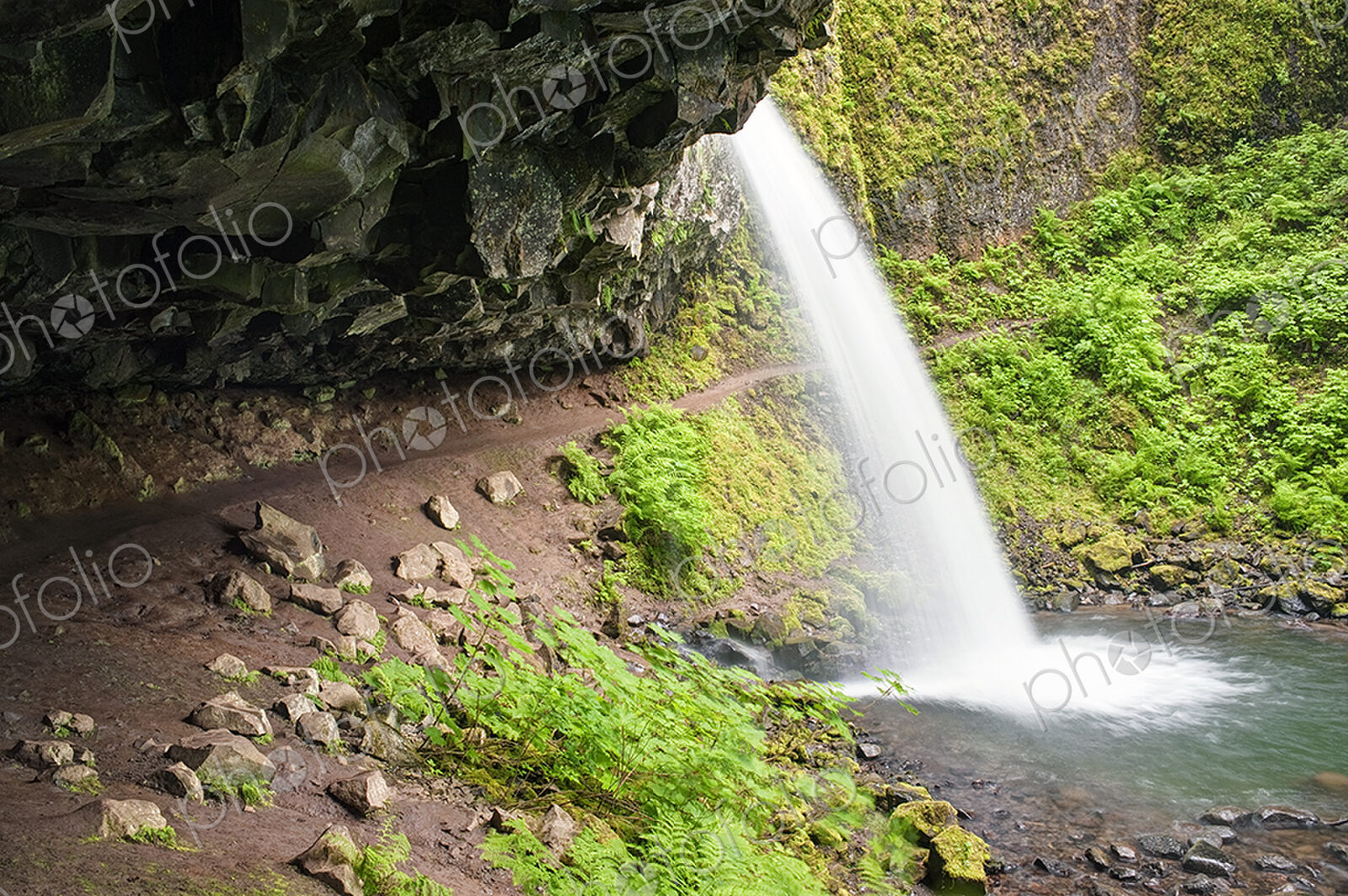 The Columbia River Gorge, Ponytail Falls waterfall flowing over the cliffs into the…