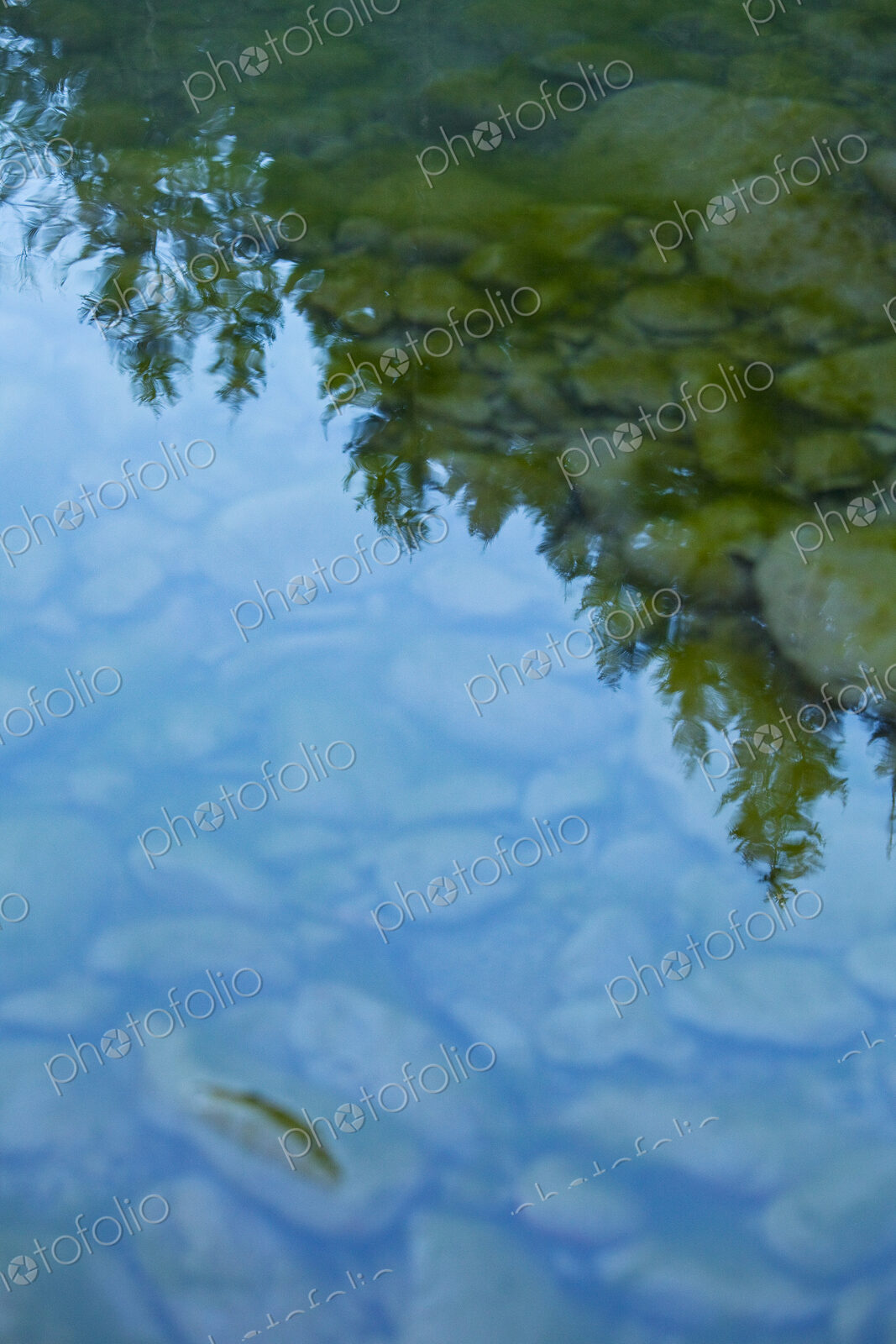 The Elwha River, in Olympic National Park, shallow clear water and pebbles on the bottom.