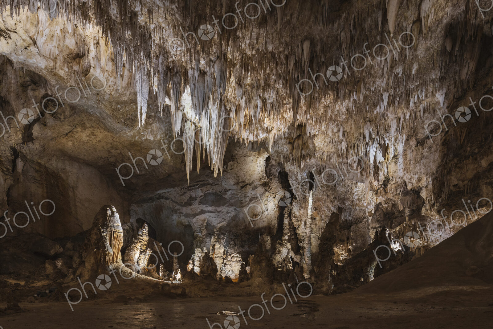 The Great Room, limestone cave in the Carlsbad Caverns.