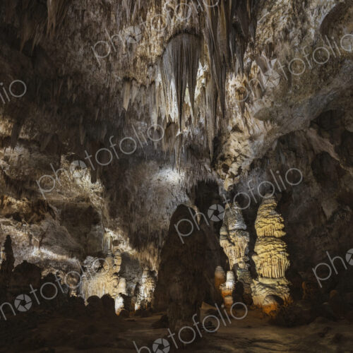 The Great Room, limestone cave in the Carlsbad Caverns.