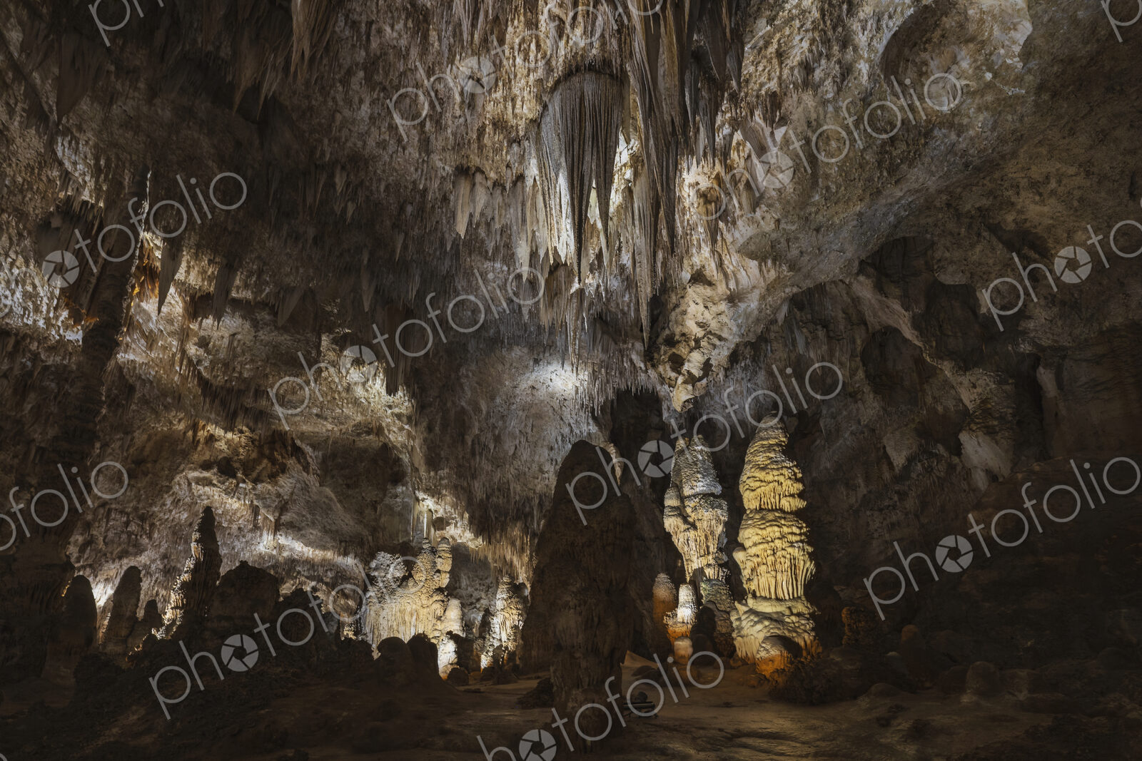 The Great Room, limestone cave in the Carlsbad Caverns.