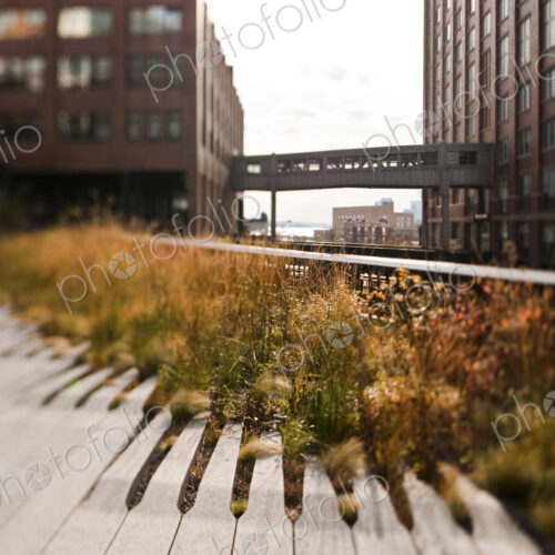 The High Line Park The High Line Park