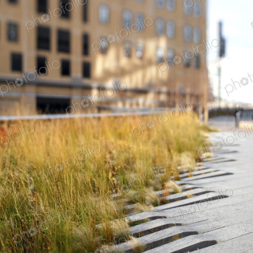 The High Line Park The High Line Park