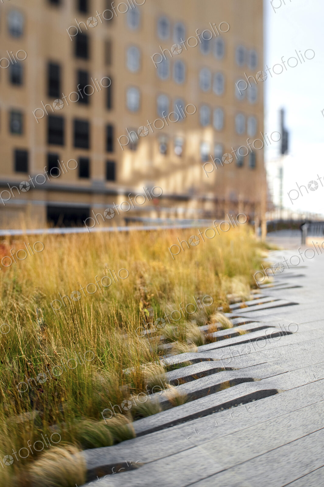 The High Line Park