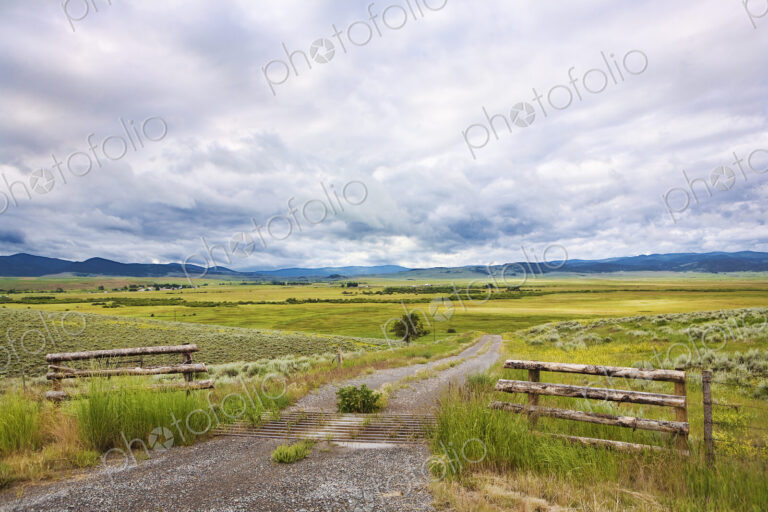 The Montana landscape, open grassland, fences, dirt road, and clouds.