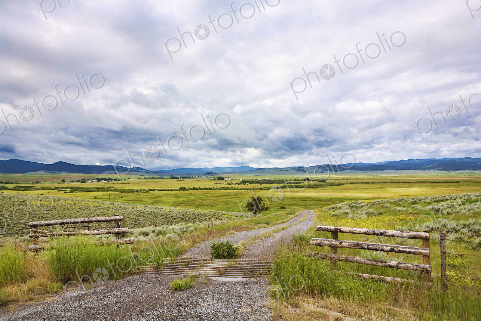 The Montana landscape, open grassland, fences, dirt road, and clouds.