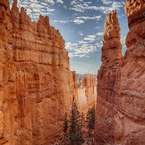The Navajo Loop Trail winds through towering orange hoodoos in Bryce Canyon National…