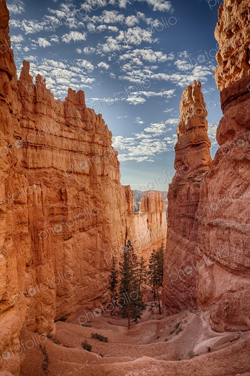 The Navajo Loop Trail winds through towering orange hoodoos in Bryce Canyon National…